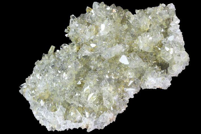 Plate Of Gemmy, Chisel Tipped Barite Crystals - Mexico #84428